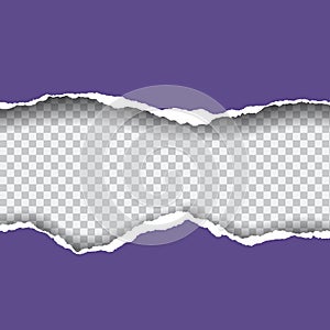 Realistic vector violet ripped paper with space for your text, o
