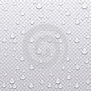 Realistic vector water drops transparent background. Clean drop condensation illustration