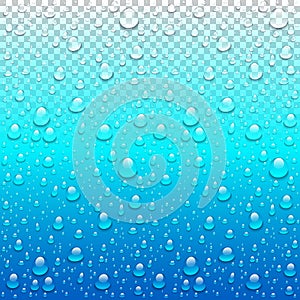 Realistic vector water drops transparent blue background. Clean drop condensation illustration