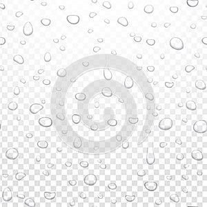 Realistic vector water rain drops on alpha transparent background. Condensed pure droplets. Vector clear water bubbles