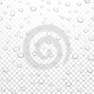 Realistic vector water rain drops on alpha transparent background. Condensed pure droplets. Vector clear water bubbles on window
