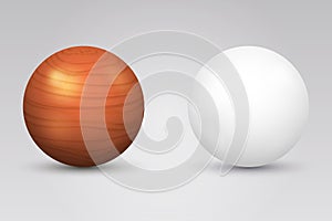 Realistic vector white ball and wooden sphere