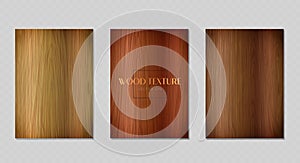 Realistic vector wood textures set. Wooden background frame set. Brown wood surface with stripes. Mock-up with oak and pine