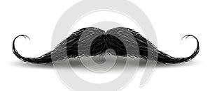 Realistic Vintage Black curly mustache. Vector Illustration isolated on a white background.