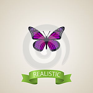 Realistic Violet Wing Element. Vector Illustration Of Realistic Purple Monarch Isolated On Clean Background. Can Be Use