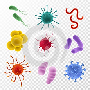 Realistic viruses. Types and microorganism colorful shapes. Bacteria, germs and bacillus flu and covid-19. Biological