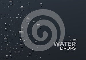 Realistic Water Drops on Black Background, Real Transparent Effect. Vector illustration