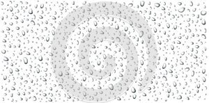 Realistic water drops set isolated on white background. Beautiful background. Simple design. Vector illustration