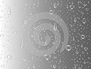 Realistic water drops on transparent background. Rain drops or steam shower. Condensed pure droplets. Clear vapor