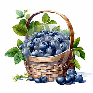 Realistic Watercolor Blueberry Basket Illustration With Hyperrealistic Style