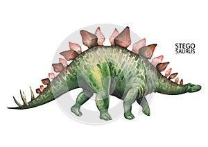 Realistic watercolor dinosaur