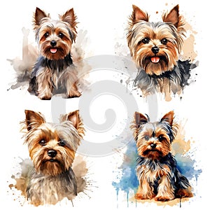 Realistic watercolor Yorkshire Terrier dog illustration. Funny doggy drawing template.
