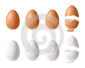 White And Brown Egg Set