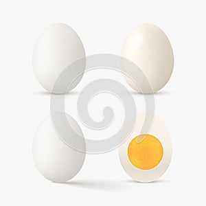 realistic white color egg set on white
