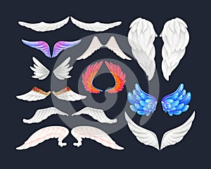 Realistic white and color wings isolated with 3D feathers on dark background vector