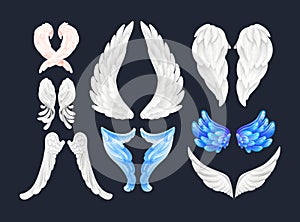 Realistic white and color wings isolated with 3D feathers on dark background vector