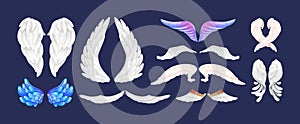 Realistic white and color wings isolated with 3D feathers on dark background vector