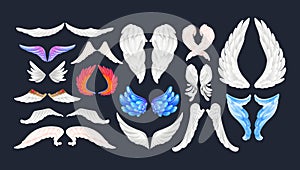 Realistic white and color wings isolated with 3D feathers on dark background vector