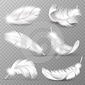 Realistic white feathers. Birds plumage, falling fluffy twirled feather, flying angel wings feathers. Realistic isolated photo