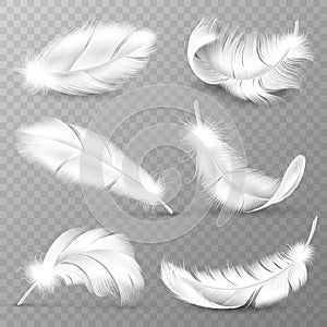 Realistic white feathers. Birds plumage, falling fluffy twirled feather, flying angel wings feathers. Realistic isolated vector