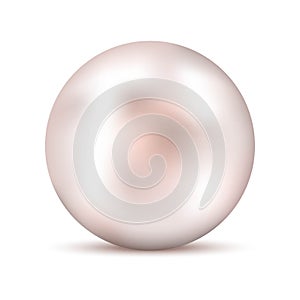 Realistic white pink pearl with shadow. Shiny oyster pearl for luxury accessories. Sphere shiny sea pearl.