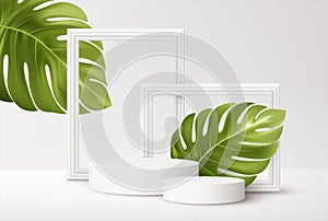 Realistic white Product podium with white picture frames and green tropical monstera leaves isolated on white background