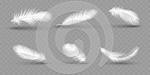 Realistic white soft goose feathers. Fluffy falling wing, bird plume, duck fluff, hen or swan weightless plumage