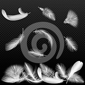 Realistic white vector bird twirled feathers falling on black transparent alpha background.