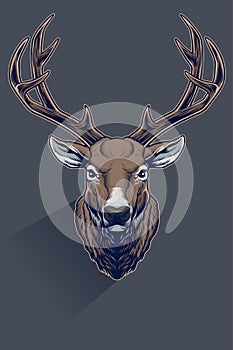 Realistic Whitetail Deer Head