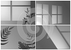 Realistic window shadow. Monstera leaves, palm branches and window frames overlay natural light effects. Vector