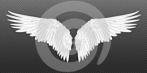 Realistic wings. Pair of white isolated angel wings with 3D feathers on transparent background. Vector bird wings design