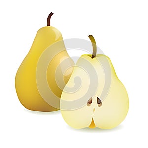 Realistic Yellow Pear and Half Sliced Pear. Vector Illustration Isolated On White Background icon