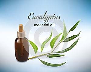 Realistico foglie di eucalipto e contagocce olio essenziale per fitoterapia o cosmetici photo