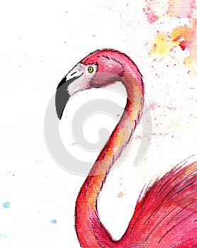 Realistik watercolor pink flamingo. Hand drawn  illustration isolated on white background. Exotic tropical bird.For T-shirt print