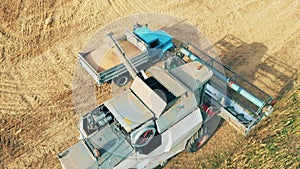 Reaped crops are being loaded into a truck by an agricultural vehicle