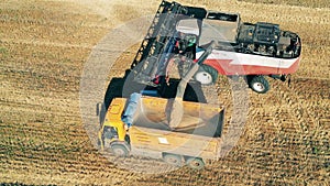 Reaped crops are pouring from a combine into a truck