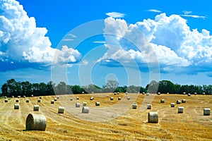 Reaped field and straw rolls