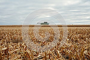 A reaped wheat crop, stubble and combine harvester