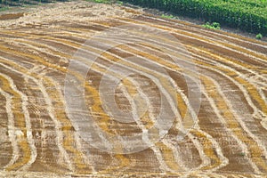 Reaped wheat fields in La Noguera