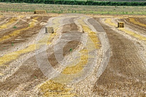 Reaped wheat fields in La Noguera