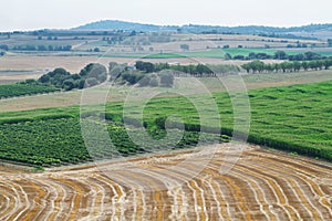 Reaped wheat fields in La Noguera photo