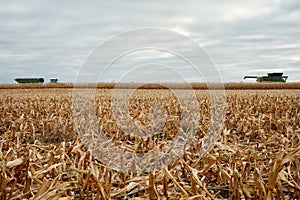 A reaped wheat paddock and harvesting machinery