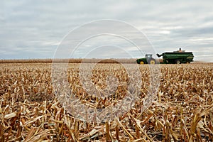 Reaped wheat stubble and harvesting machinery