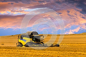 Reaping machine or harvester combine on a wheat field with a very dynamic sky photo