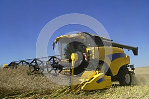 Reaping-machine threshing-machine with work photo