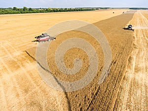 Reaping thresher machines are on agricultural field during crop year, harvesting cereal, Russia