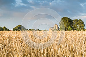 Reaping white near the Hostoric Town Veere. With view on the bi photo