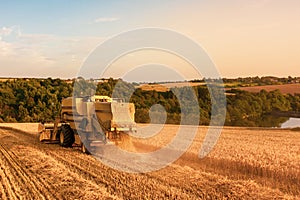 Rear aerial shot of a Combine Harvester harvesting a wheat field at Sunset in the UK