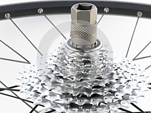 Rear bicycle cog cassette