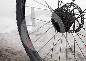 Rear bicycle cog cassette maintenance required close-up. Ready for repair, clean and lubricating after winter storage. Preparation